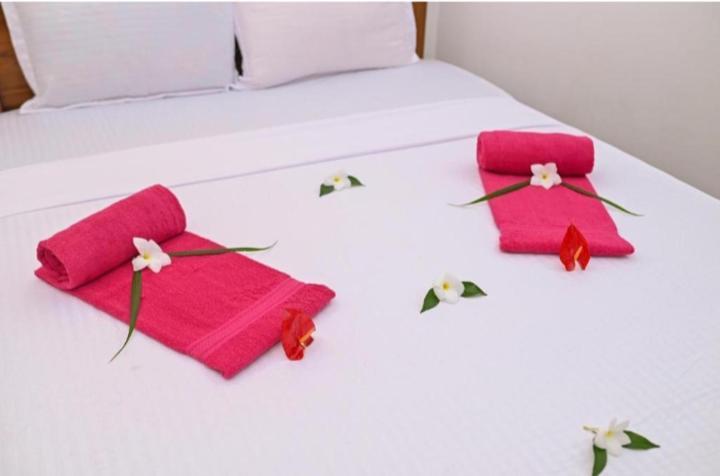 Negombo Royal Villa By Hotel Oviniru エクステリア 写真